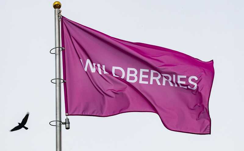 Wildberries отжали с подачи Кремля?