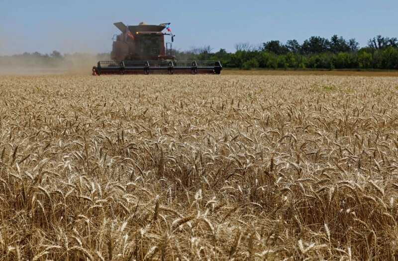 A branch of Baltic Control assists in exporting grain from regions under Russian control