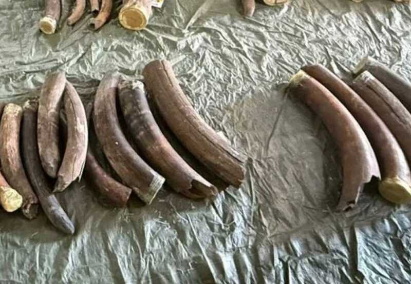 В Благовещенске были задержаны жители Китая за попытку ввоза культурных ценностей