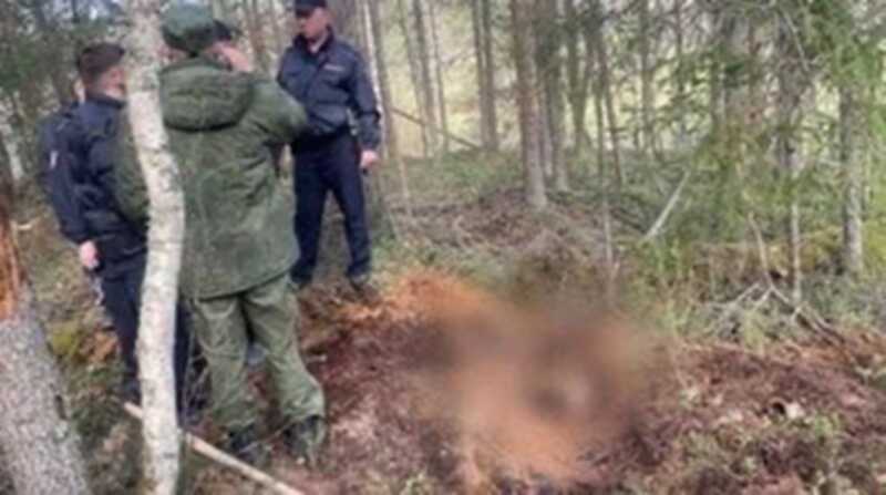 В Удмуртии обвиняемые в убийстве поехали на фронт вместо того, чтобы предстать перед судом